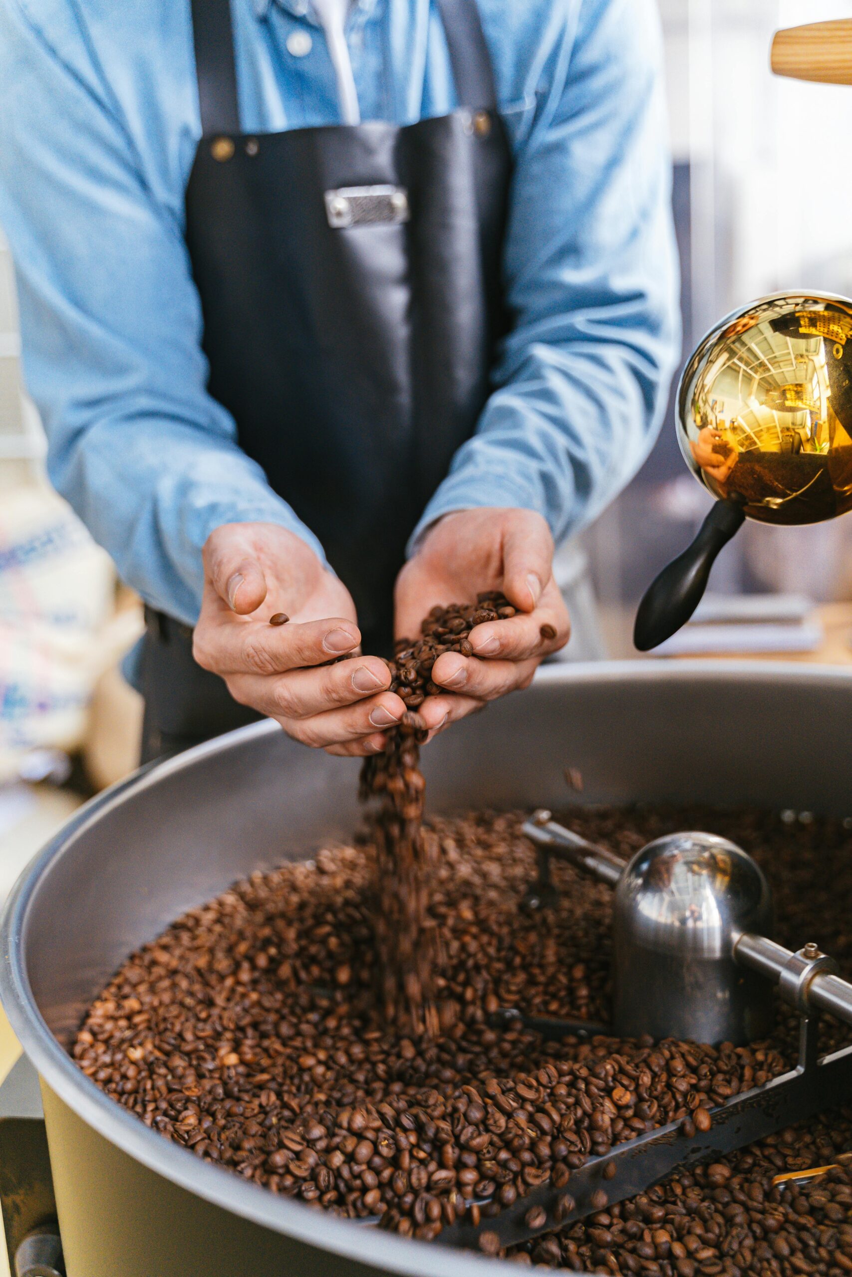Quest for Coffee (2) | Roast