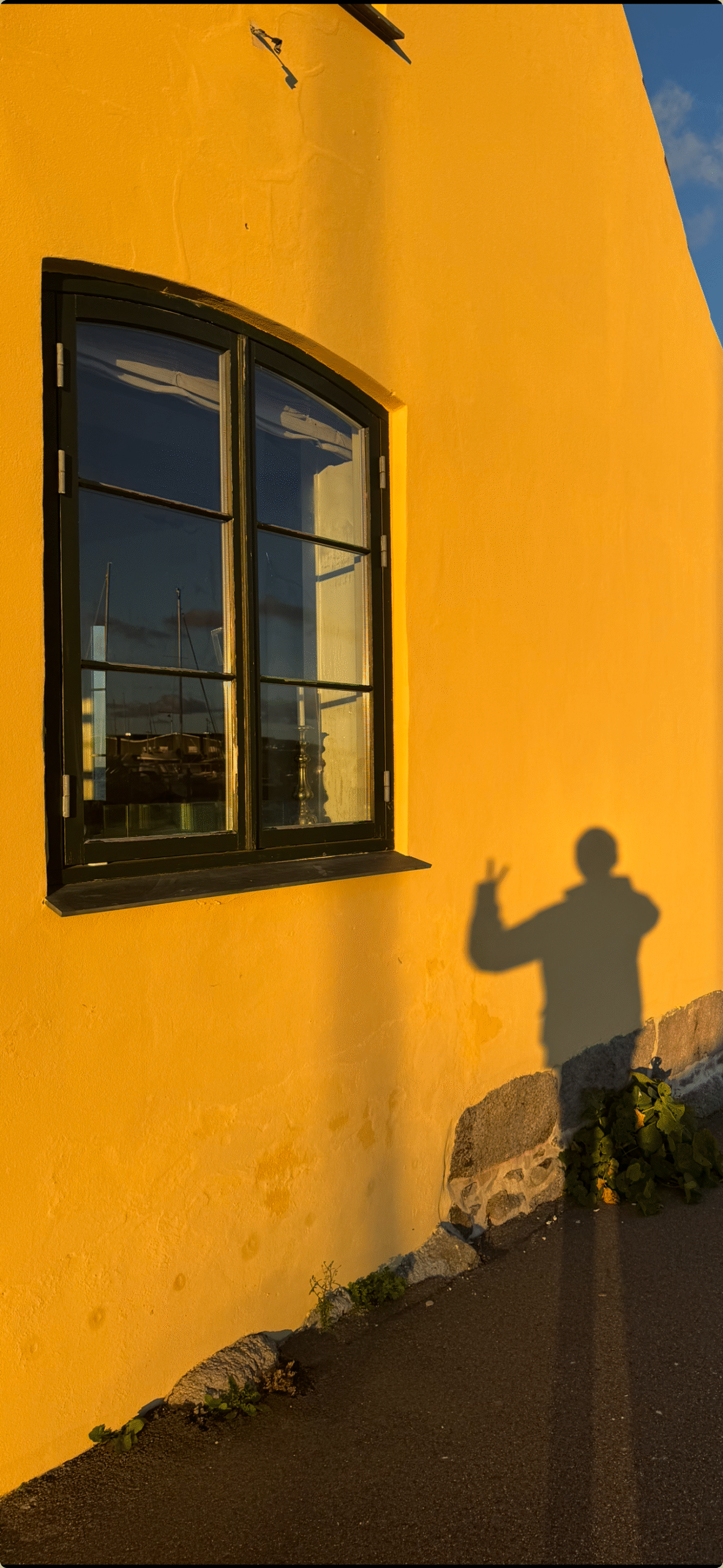 Lost In Life: “What Should I Do?”