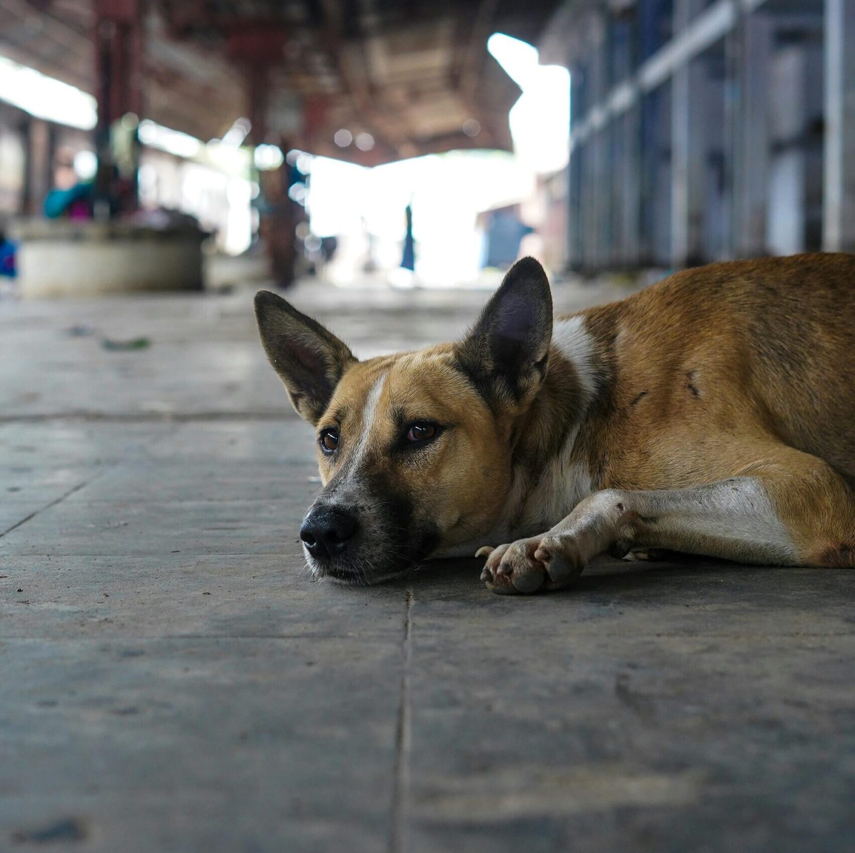 Being Stuck In A Rut