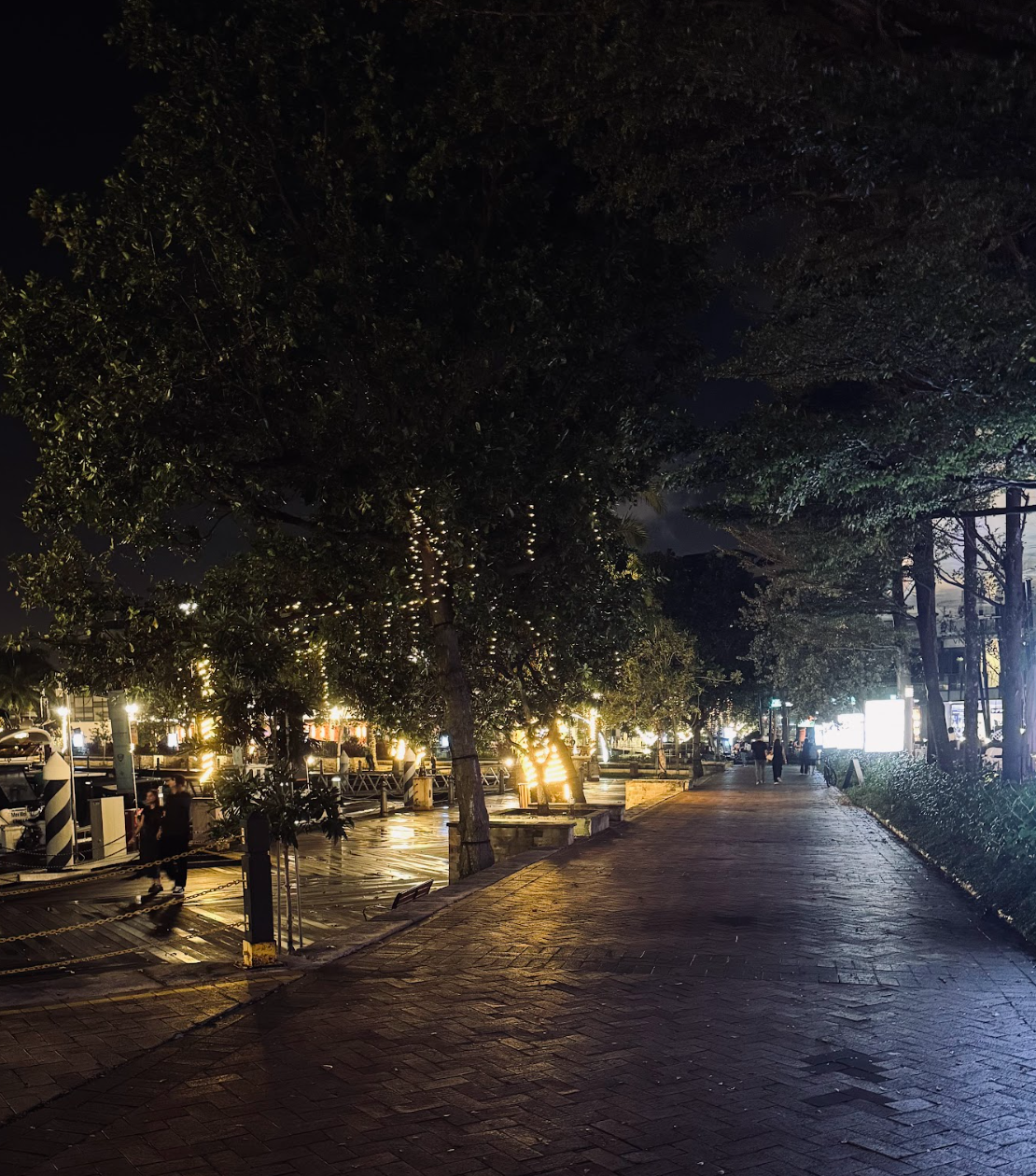 Why Seeking Novelty Becomes Frustrating