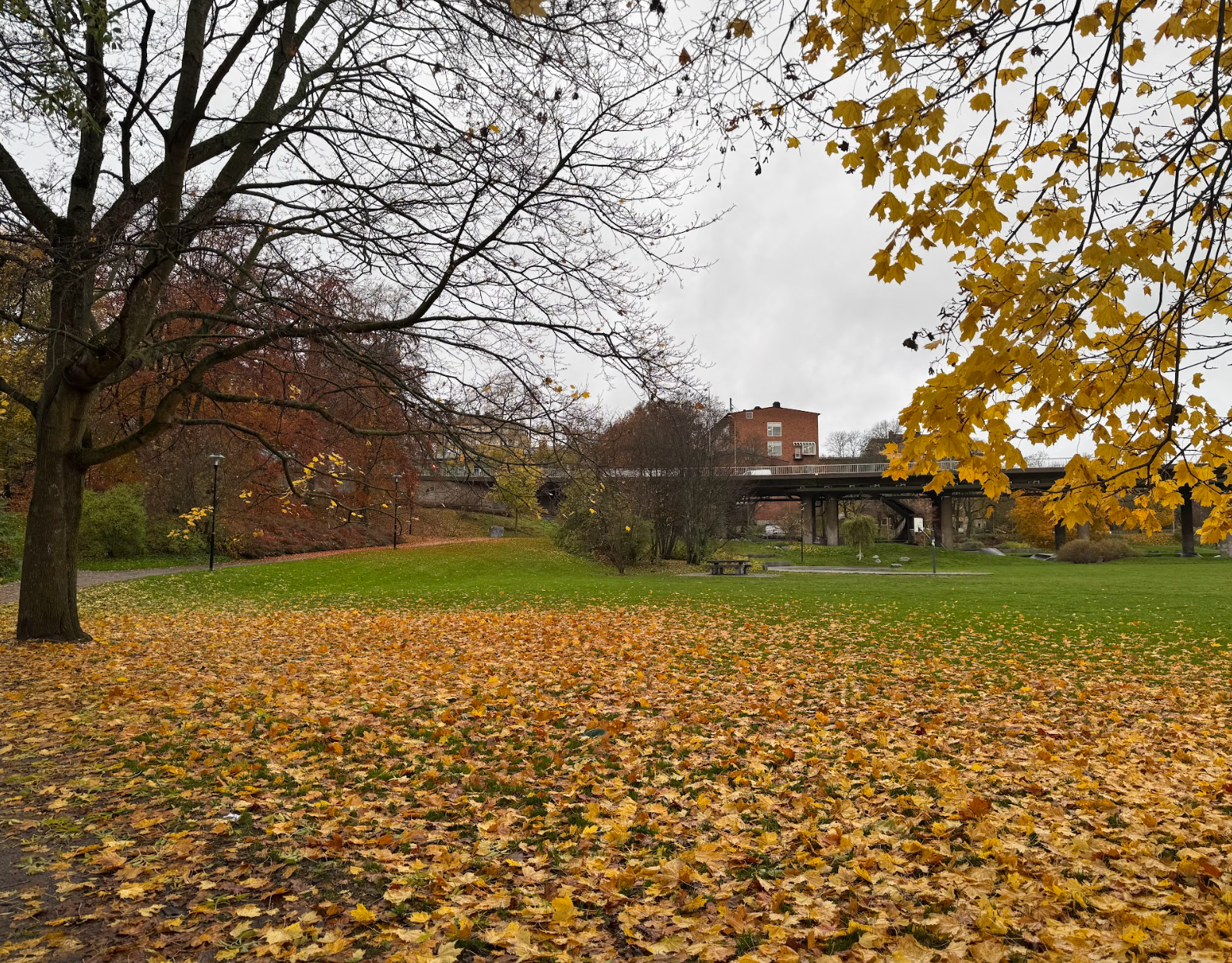 Trying Something New Is Scary