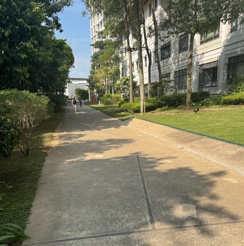 Starting University Life As A Freshman in NUS