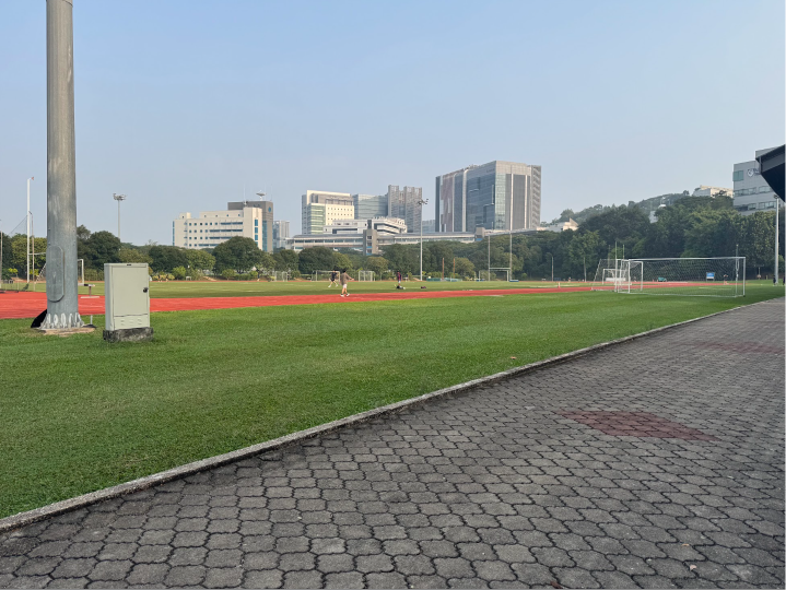 My University Diaries: You Crave External Validation